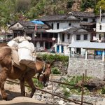 Birethanti Village