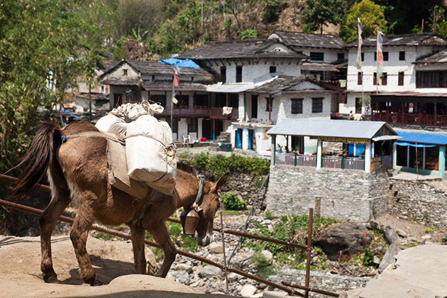 Birethanti Village - adventure tour in nepal