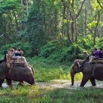 Chitwan Jungle Safari