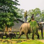 Chitwan National Park