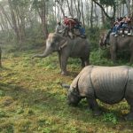 Chitwan National Park
