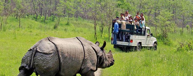 Chitwan National Park - Nepal Chitwan jungle safari