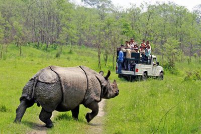 Chitwan National Park - Nepal jungle safari