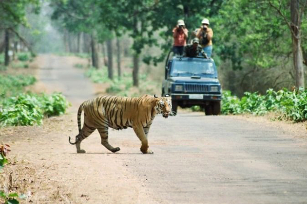 chitwan safari jeep