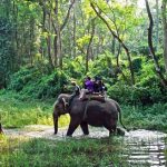 elephant safari - nepal tour itinerary packages