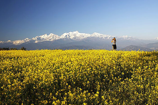 Flower-field-Nepal-Sightseeing-Tour