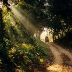 Chitwan national park - nepal tour itineraries
