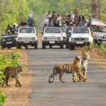 Chitwan national park - nepal tour itineraries