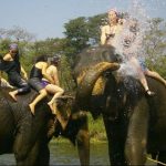 chitwan national park - golden triangle nepal