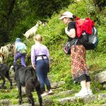 landruk trek - nepal tour ititnerary packages