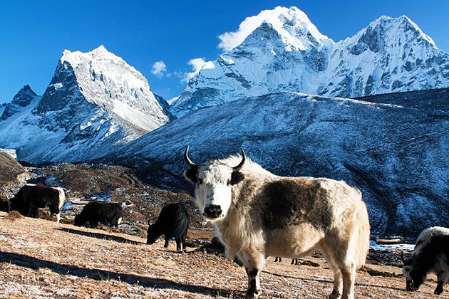 sagarmathe national park - heritages of nepal