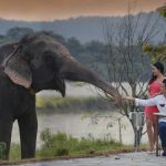 chitwan nepal honeymoon