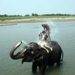 nepal luxury tours
