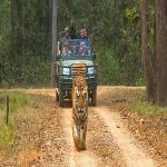 Bardia National Park - nepal jungle safari tours