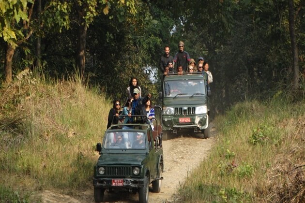 jungle safari in nepal